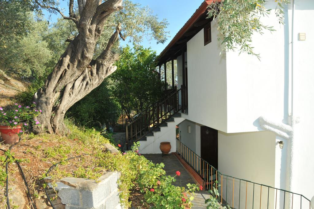 Violetta Studios & Apartments 밀리나 외부 사진